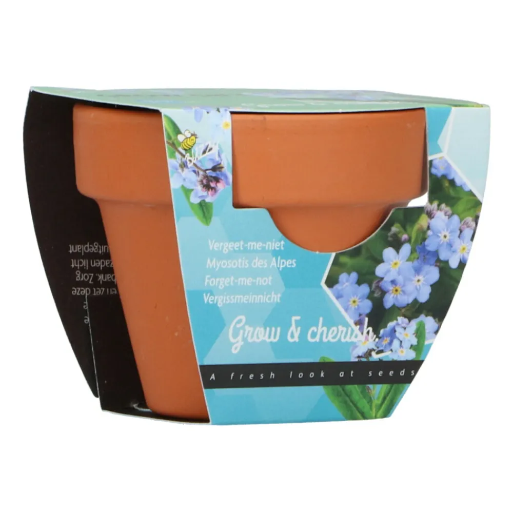 Hot Groeicadeautje Vergeet-me-niet Kweken En Zaden