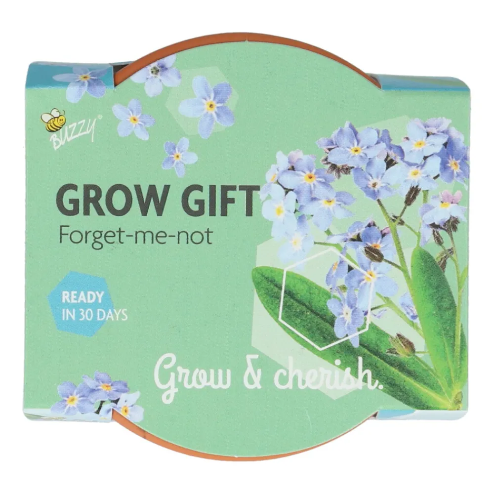 Hot Groeicadeautje Vergeet-me-niet Kweken En Zaden