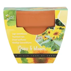 Groeicadeautje Zonnebloem^Buzzy Best