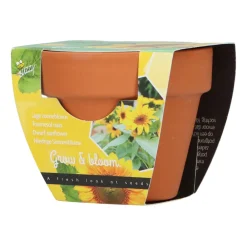 Groeicadeautje Zonnebloem^Buzzy Best
