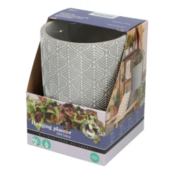 Best House Plants Hangende Plantpot met Coleus zaden Kweken En Zaden