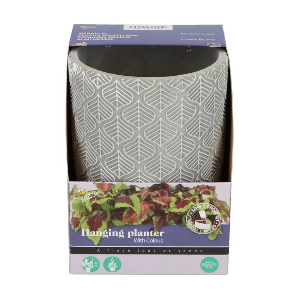 Best House Plants Hangende Plantpot met Coleus zaden Kweken En Zaden