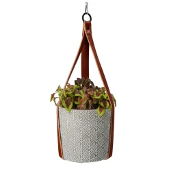 Best House Plants Hangende Plantpot met Coleus zaden Kweken En Zaden