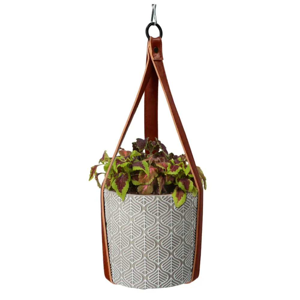 Best House Plants Hangende Plantpot met Coleus zaden Kweken En Zaden