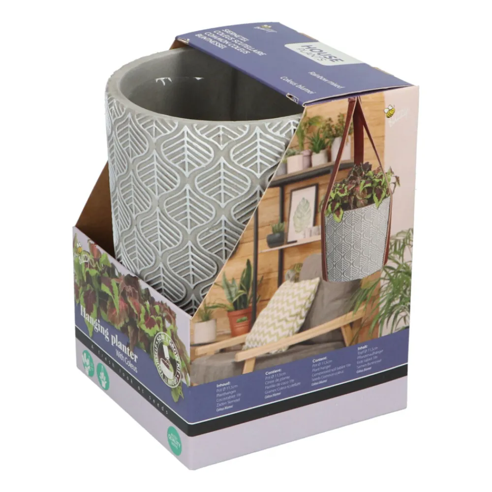 Best House Plants Hangende Plantpot met Coleus zaden Kweken En Zaden