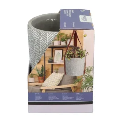 Best House Plants Hangende Plantpot met Coleus zaden Kweken En Zaden