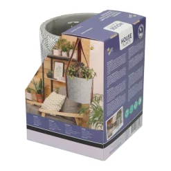 Best House Plants Hangende Plantpot met Coleus zaden Kweken En Zaden