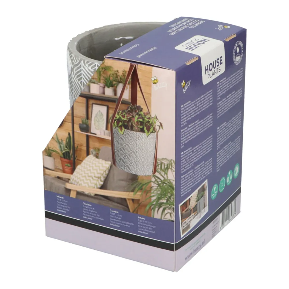 Best House Plants Hangende Plantpot met Coleus zaden Kweken En Zaden