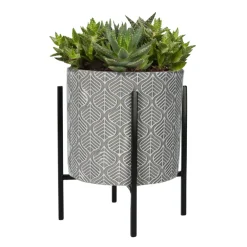 House Plants Plantenpot in Standaard met Aloe Vera Zaden^Buzzy Clearance