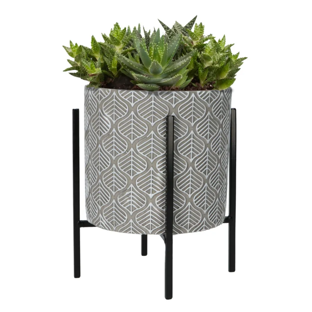 House Plants Plantenpot in Standaard met Aloe Vera Zaden^Buzzy Clearance