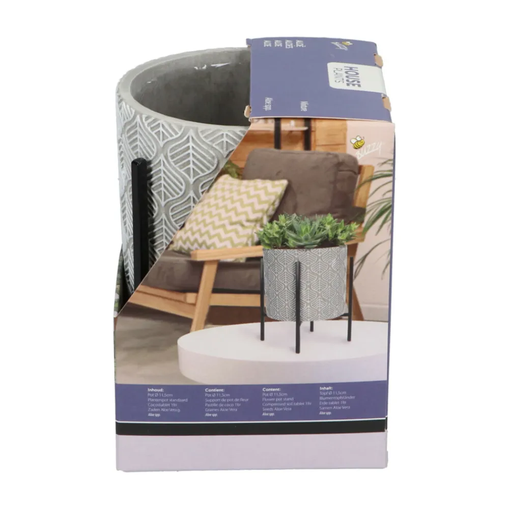 House Plants Plantenpot in Standaard met Aloe Vera Zaden^Buzzy Clearance