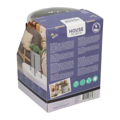 House Plants Plantenpot in Standaard met Aloe Vera Zaden^Buzzy Clearance