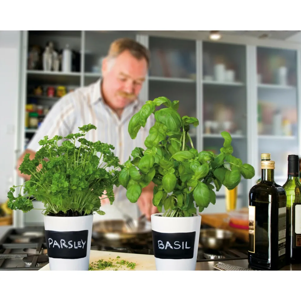 Kruiden Set 3-delig Krijtpotten Wit 1 set^Buzzy Online