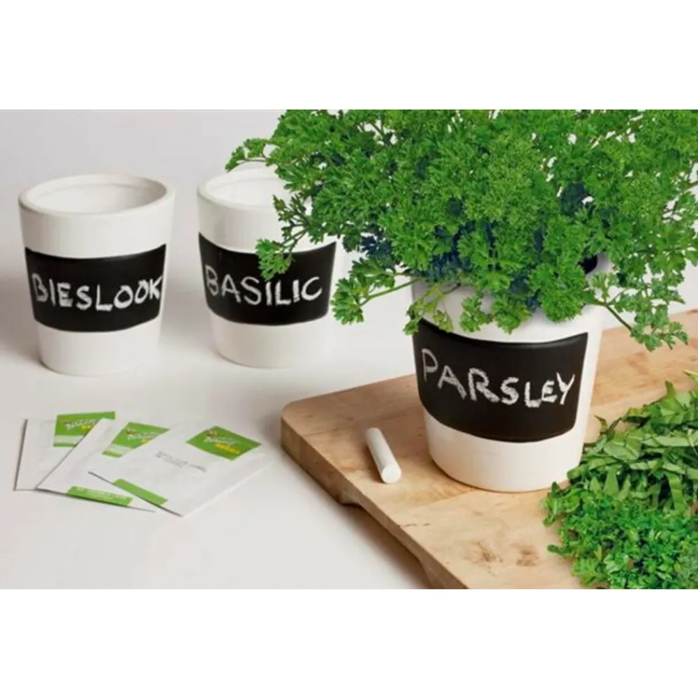 Kruiden Set 3-delig Krijtpotten Wit 1 set^Buzzy Online