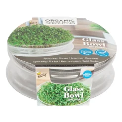 New Kweekset Glazen Bowl met Rucola Biologisch Kweken En Zaden