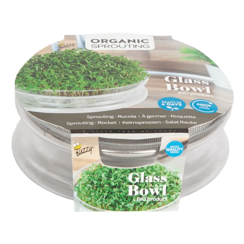 New Kweekset Glazen Bowl met Rucola Biologisch Kweken En Zaden