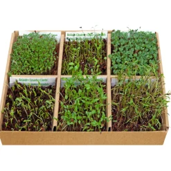 Online Starterskit Kweekset Culinary Edible Flowers Kweken En Zaden