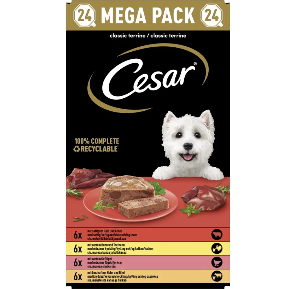 Hondenvoer<Cesar Alu Hondenvoer Multi-pack Kuipje Classic in Pate 24 x 150 gr