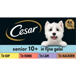 Clearance Senior 10+ in Gelei 600 gr Hondenvoer