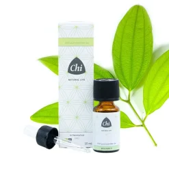 Kaneel Blad Bio 10 ml Huisparfum