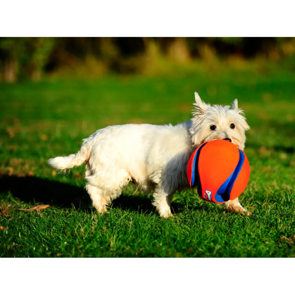 Kick Fetch Small 14 cm^Chuckit Clearance