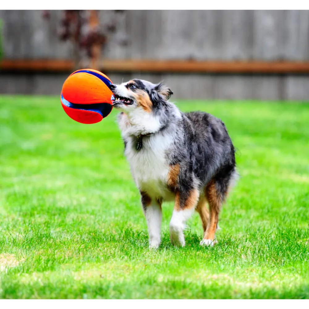 Kick Fetch Small 14 cm^Chuckit Clearance