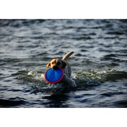 Speelgoed<Chuckit Paraflight Small