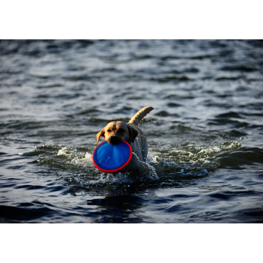 Speelgoed<Chuckit Paraflight Small