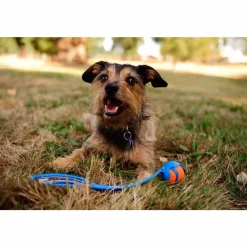 Speelgoed<Chuckit Pro Ball Launcher Medium 63 cm