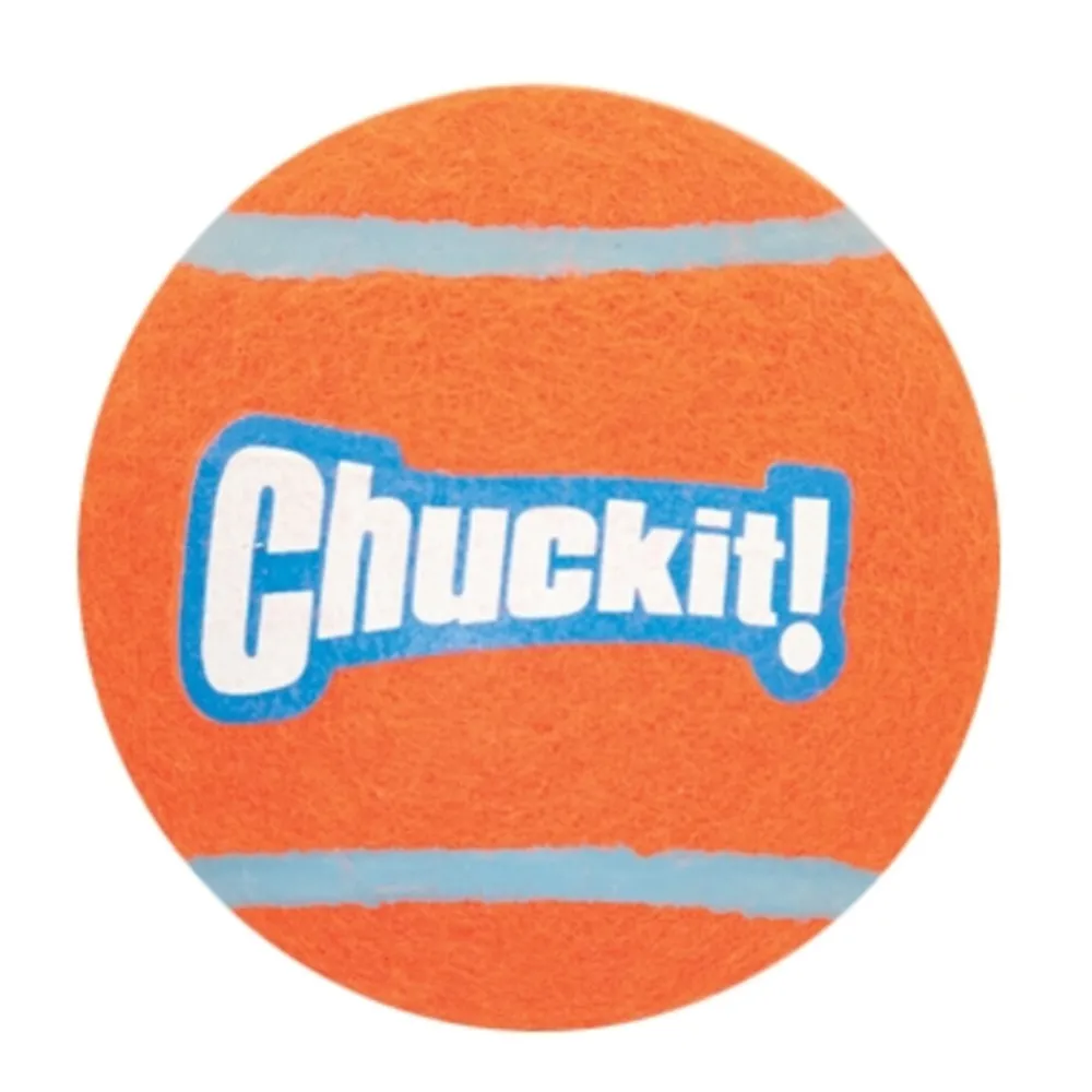 Tennis Ball Large 2-pack Speelgoed