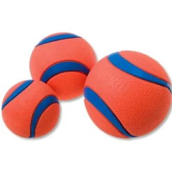 Speelgoed<Chuckit Ultra Ball ø 6 cm 2 stuks