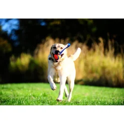 Ultra Tug Large ø 7 cm^Chuckit Best