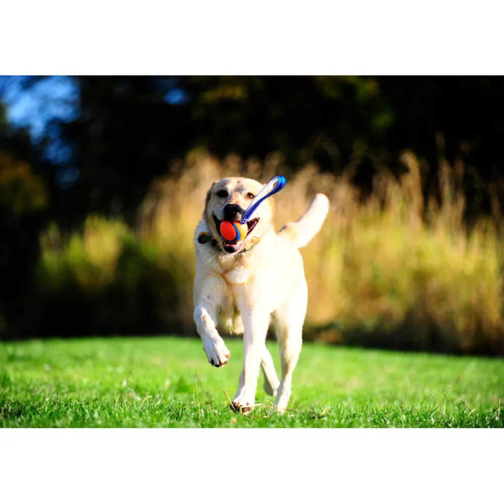 Ultra Tug Large ø 7 cm^Chuckit Best