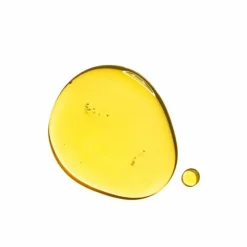 Santal Treatment Oil Gezichtsverzorging 30 ml^Clarins New