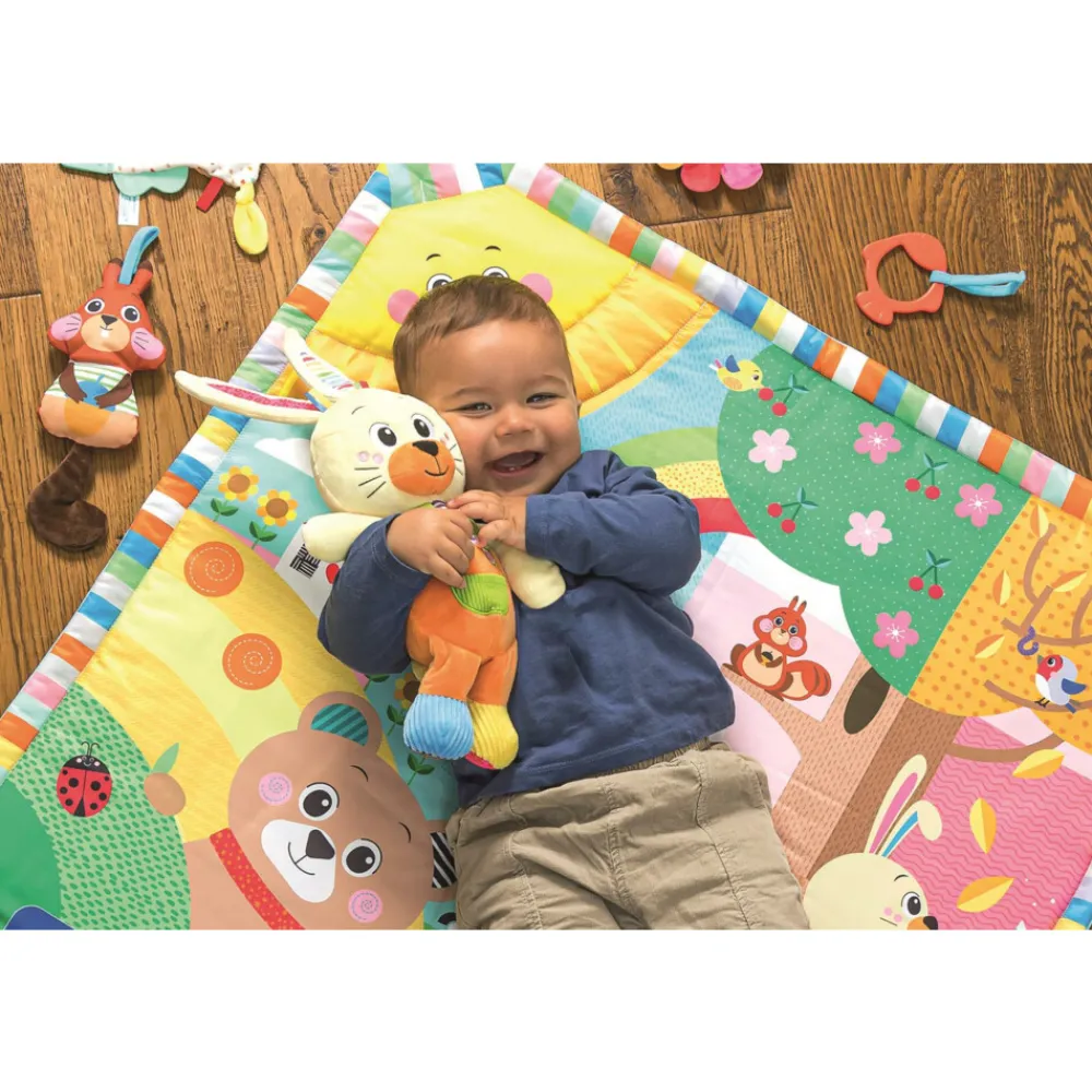 Knuffels<Clementoni Knuffel in Doos Bear