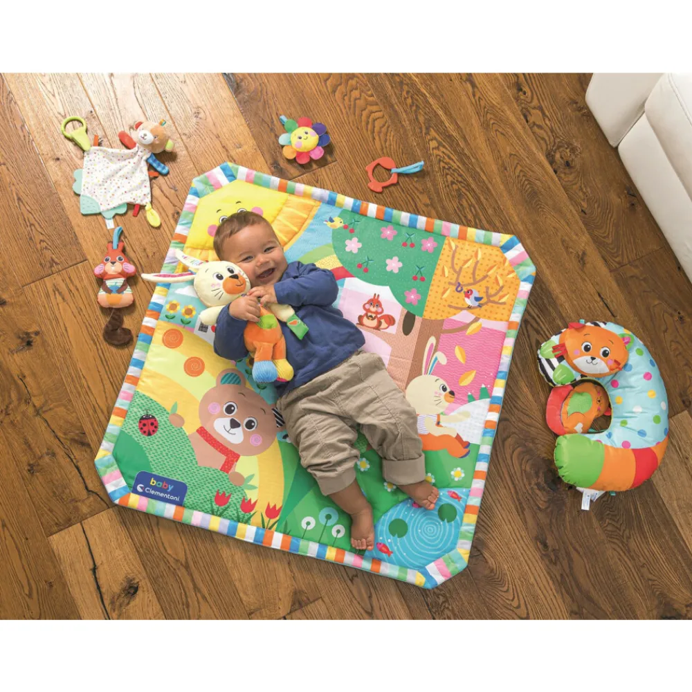 Knuffels<Clementoni Knuffel in Doos Bear