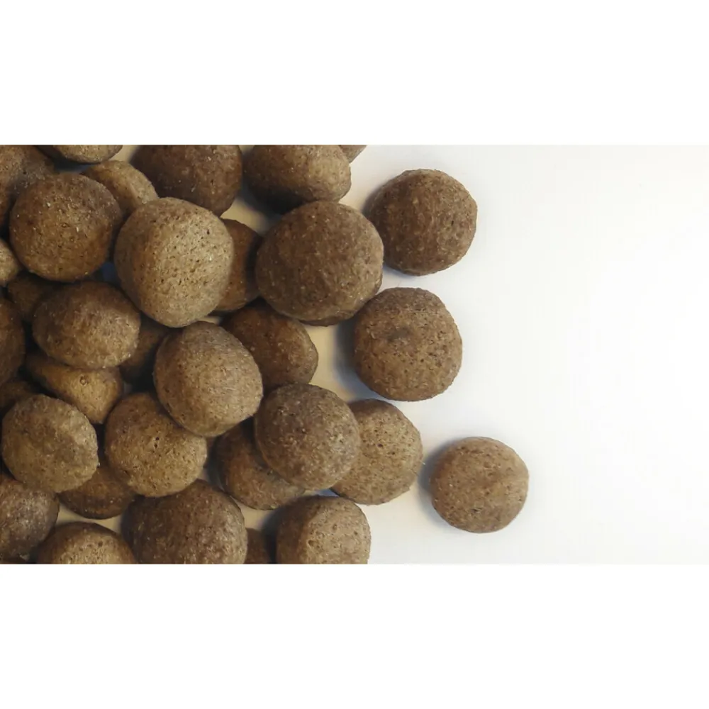 Discount Hondenvoer Adult 15 kg Hondenvoer