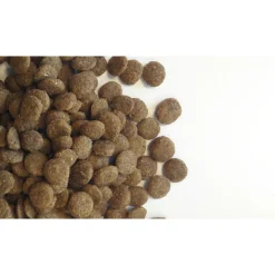 Kattenvoer Adult 10 kg^Content Online