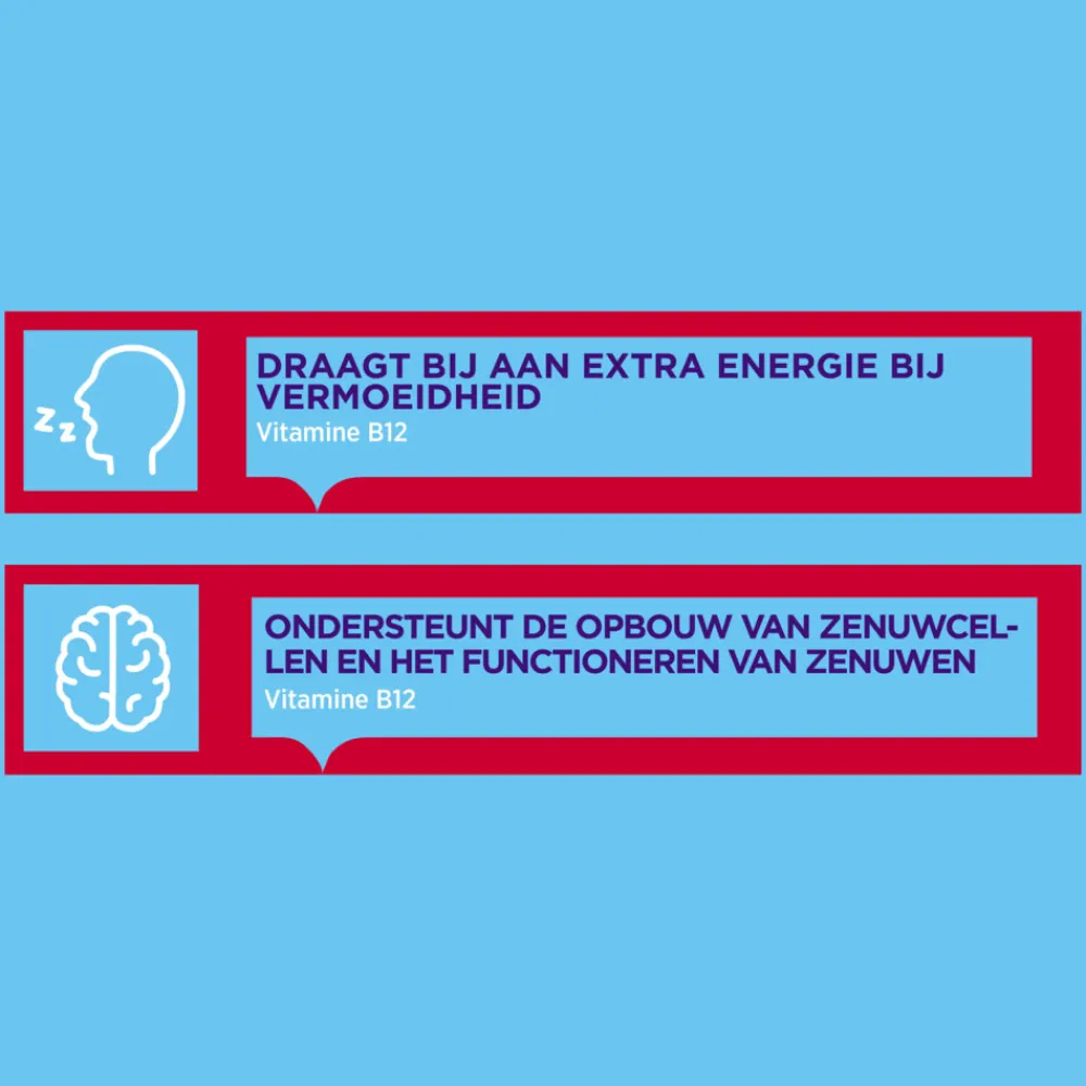 Vitamine B12 1000mcg 100 smelttabletten^Dagravit Hot