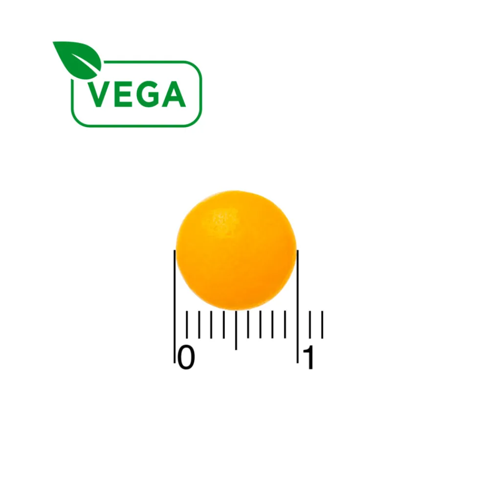 Online Vitamine B-Complex 100 stuks Vitaminen