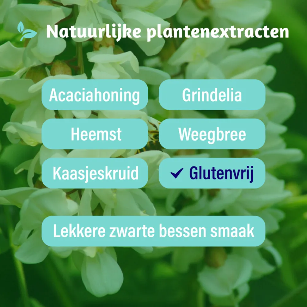 Kids Alle Hoest 100 ml^Dampo