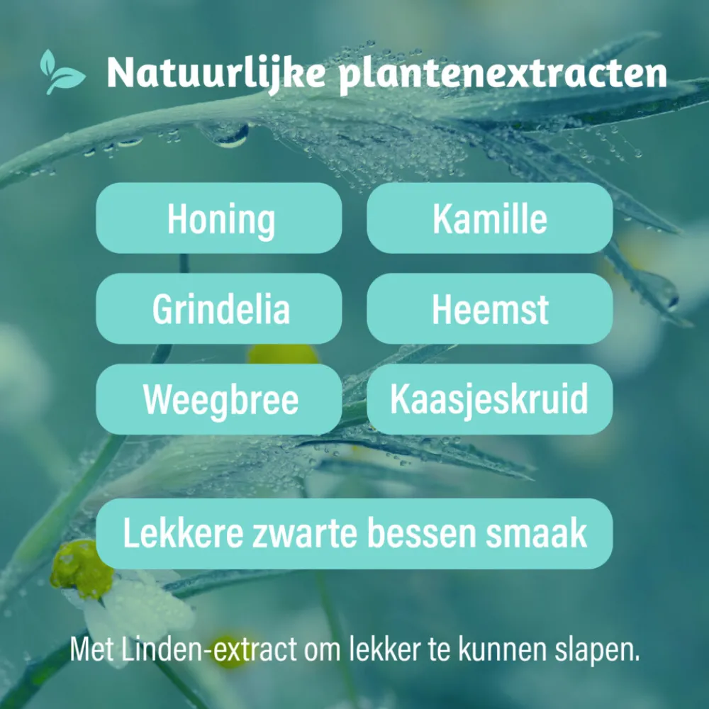 Kids Alle Hoest Nacht 100 ml^Dampo Sale