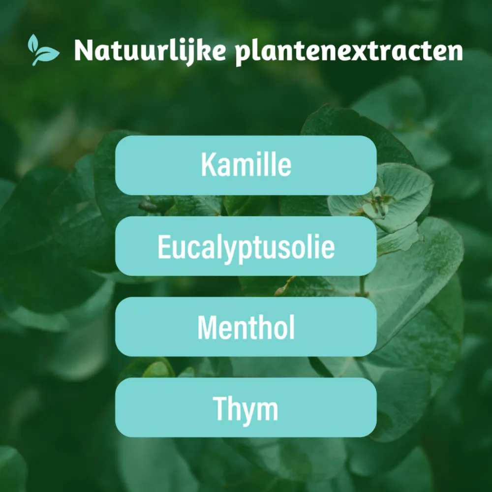 Luchtwegen & Keel<Dampo Vrijer Ademen 20 stuks