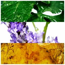 Cool Water Man Eau de Toilette 200 ml^Davidoff Outlet