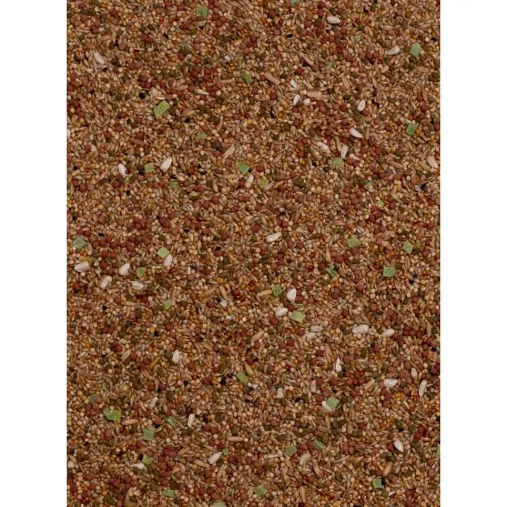 Droogvoer & Zaden<Deli Nature 5 Sterren Menu Parkiet 800 gr