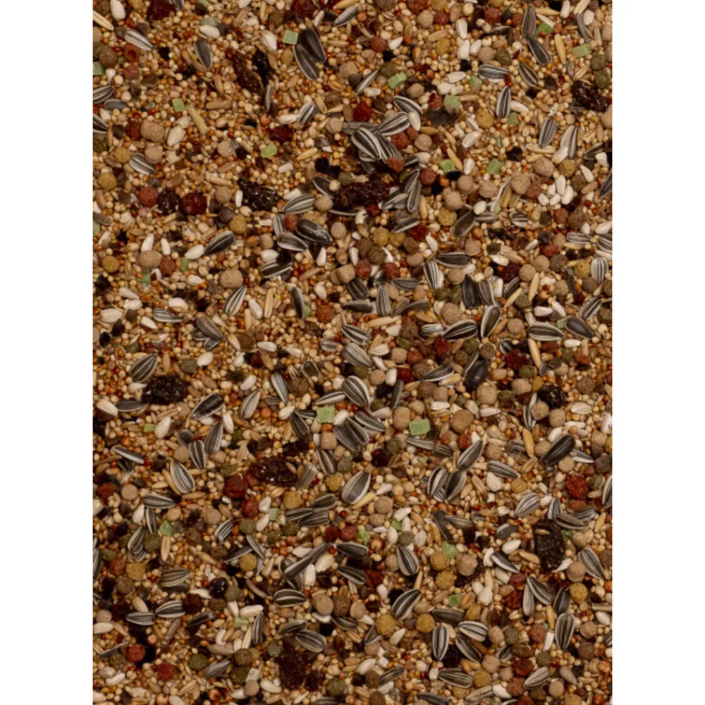 Birdelicious Grote Parkieten Amazonia 800 gr^Deli Nature Discount