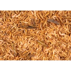 Kip<Deli Nature Chix Insectenmix 180 gr