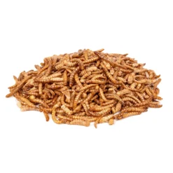 Kip<Deli Nature Chix Meelwormen 500 gr