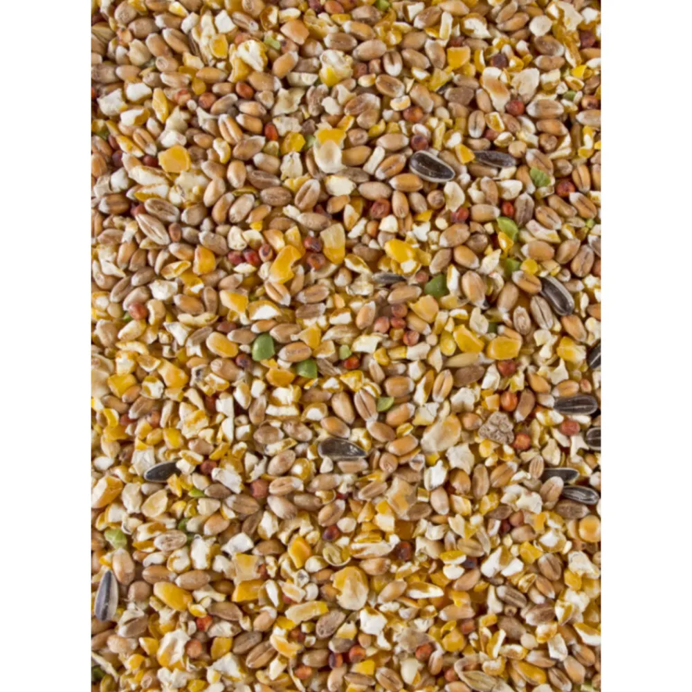 Online Chix Poeljen Graan 4 kg Kip