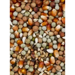 Kip<Deli Nature Dovix Kleine Maïs 20 kg